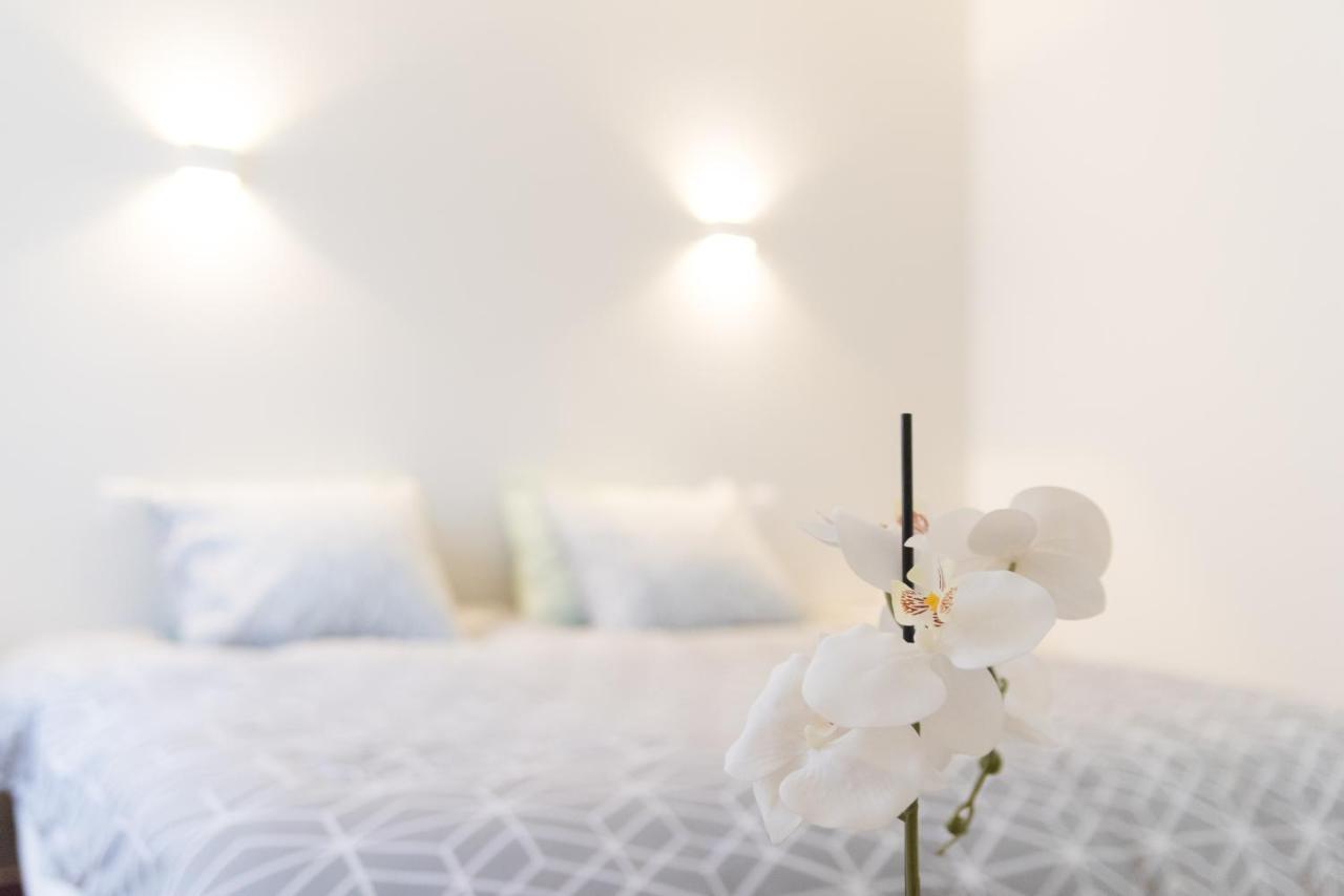 Ravissant Triplex Et Duplex Au Centre De Pont St Esprit Daire Dış mekan fotoğraf